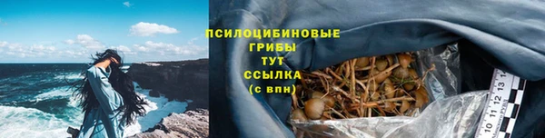 ГАЛЛЮЦИНОГЕННЫЕ ГРИБЫ Баксан