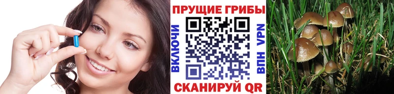Галлюциногенные грибы мухоморы Белокуриха